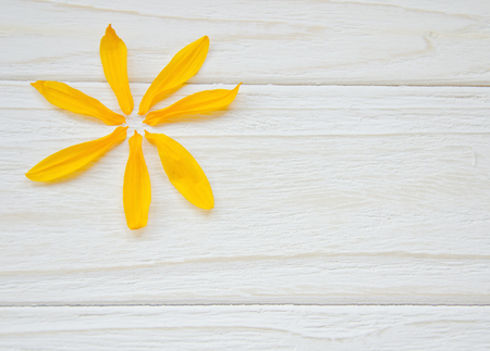 Torn petals arranged in the form of a bright yellow autumn flower on a white wooden background (with copy space for your text), retro styleの写真素材
