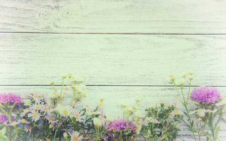 Row of pink and white autumn flowers on a wooden background (faded film effect, vintage style), copy space for your textの写真素材