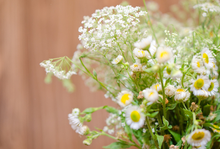 Beautiful blurred wild chamomile flowers against the wooden background (very shallow DOF, selective focus), copyspace on the leftの写真素材