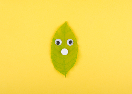 Funny cute autumn leaf with eyes and nose (on a bright yellow paper background), minimal concept, top viewの写真素材