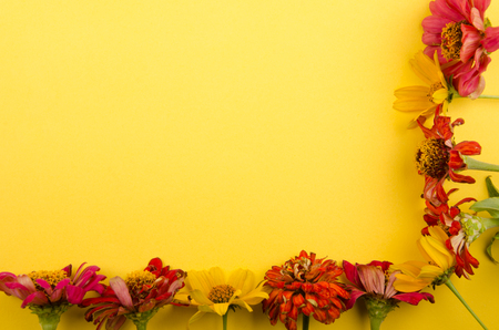 Yellow and red autumn flowers forming a frame on a bright yellow background (top view, copy space for your text)の写真素材