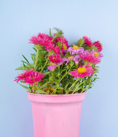 Bouquet of pink aster flowers in a pink vase against a bright blue background, minimal conceptの写真素材