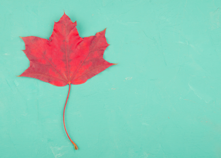Bright red maple leaf on a cracked concrete background, minimal concept (flat lay, top view, copy space on the right), retro styleの写真素材