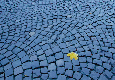 Lonely last autumn leaf (bright yellow maple leaf) on an old stone pavement, top viewの写真素材