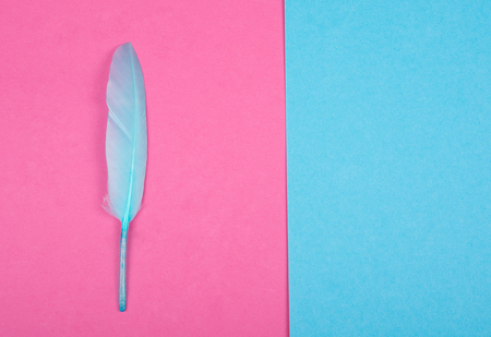 Blue feather as a quill pen on pink and blue backgrounds (minimal concept, top view)の写真素材