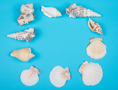 Collection of seashells forming a frame on a bright blue background (top view, copy space in the center for your text)の写真素材