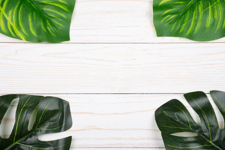 Monstera and calathea leaves as tropical plant leaves forming a frame on a white wooden background (copy space in the center for your text)の写真素材