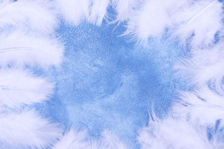 Fluffy white feathers forming a frame on a light blue marble or concrete background (as an abstract fairy-like fantastic background), copy space in the center for your textの写真素材