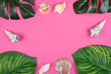 Monstera and calathea leaves and seashells forming a frame on a pink background (copy space in the center for your text)の写真素材