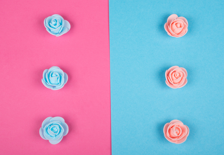 Handmade rose buds of pink and blue colors on pink and blue backgrounds (minimal concept, top view)の写真素材