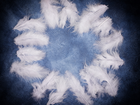 White feathers forming a frame on a blue marble or concrete background with dark edges and light in the center (as an abstract fairy-like fantastic background), copy space in the center for your textの写真素材