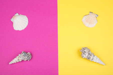 Seashells on bright pink and yellow backgrounds (top view, tropical vacation concept)の写真素材