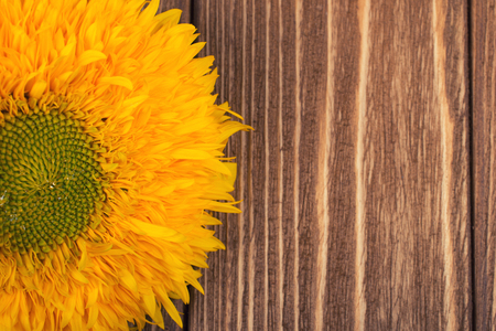 Bright yellow sunflower on a weathered brown wooden backgroundの写真素材
