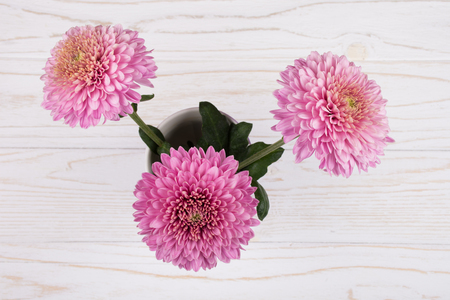 Beautiful pink chrysanthemum flowers in a vase against a white wooden background (top view)の写真素材