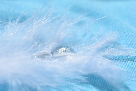 Drops of water hiding in a white feather against a light blue background (as a fairy-like abstract background), very shallow DOF, soft focus with selective focus on the drop of waterの写真素材