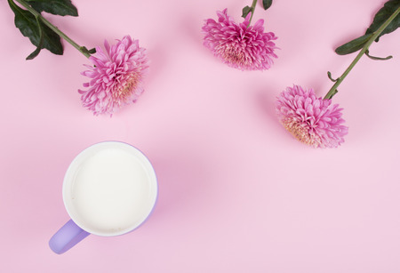 Cup of milk and beautiful pink chrysanthemum flowers against a pastel pink background (copy space for your text, top view)の写真素材