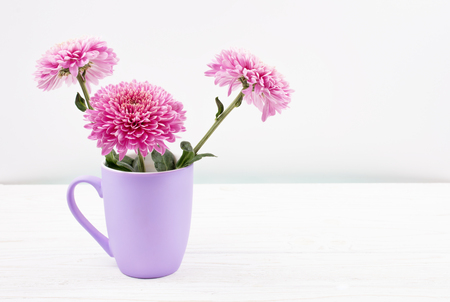 Beautiful pink chrysanthemum flowers in a purple cup on a white wooden table against a white background (copy space on the right for your text, minimal concept)の写真素材