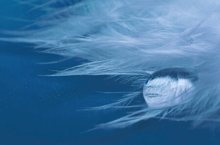 Macro shot of a drop of water on a feather on a classic blue background (concept of the Classic Blue as the Color of the Year 2020), selective focus on the drop, copy space on the left for your textの写真素材