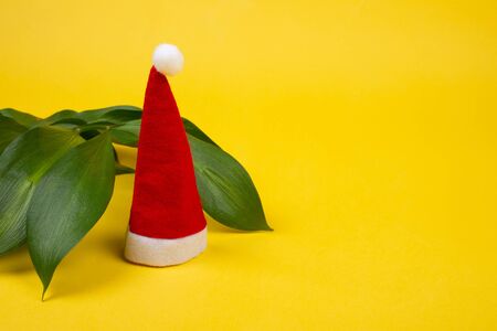 Small Santa hat and tropical leaves on the bright yellow background as the tropical Christmas concept (copy space on the right for your text)の写真素材