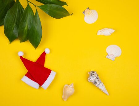 Two small Santa hats, tropical leaves and seashells on the bright yellow background as the tropical Christmas concept (copy space in the center)の写真素材