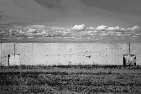 Concrete wall on field and flying swallow in sky. Black and white urban concept of freedom.の写真素材