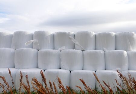 Hay bales packed in white plastic wrap placed in three lines in foreground and cloudy sky as...