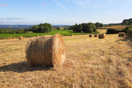Rural landscape with hay balls on the mown fieldの写真素材