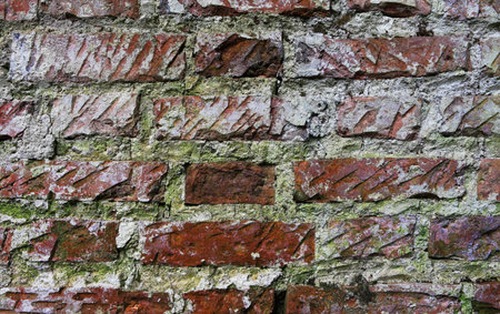 close-up of vintage cracked dirty brick wall with peeling plaster, texture, background with space...