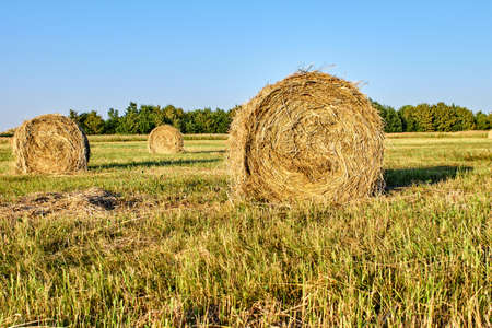Three bales of hay on the background of a forest in a field, photo at sunsetの写真素材