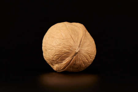 One walnut on a black background close-upの写真素材