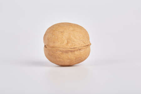 One whole walnut on a white backgroundの写真素材