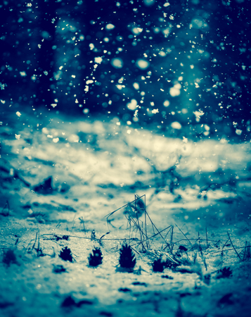 Detail of softly falling snowflakes in the nightly sky. Blue toning.の写真素材