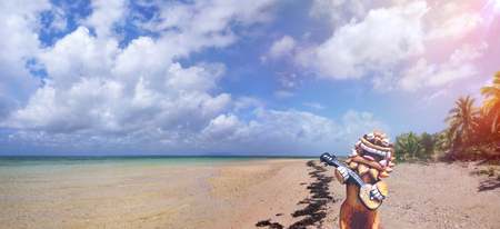 Statue of a happy Shisa, protector god of Okinawa, playing the lute sanshin on a beach in the archipelago south of Japan. Under the blue sky of summer sun, palm trees and turquoise clear waters provide a beautiful backdrop.の写真素材