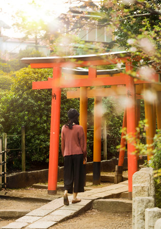 Woman walking at the entrance of a tunnel of red Torii portal in the Shintoist Nezu shrine of the 18th century in Tokyo with its cherry blossoms around.のeditorial素材