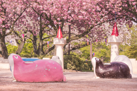 Cute rabbits scuptures make a hanami party under the pink cherry blossom trees of Asukayama park in the Kita district of Tokyo, Japan.のeditorial素材