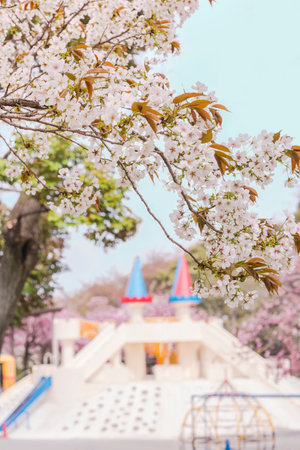 Beautiful hanami party with the pink cherry blossom of Asukayama park in the Kita district of Tokyo, Japan.のeditorial素材