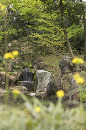Takemi teahouse waterfall seen from the Chidori wooden bridge lined with flowers located in the Rikugien Garden in Bunkyo district, north of Tokyo. The park was created at the beginning of the 18th century.の写真素材