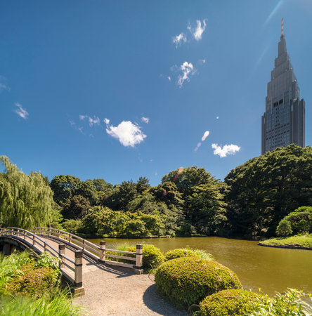 Shinjuku's Docomo tower overlooking the Upper Pond wooden bridge and the pine and maple forests of the traditional Japanese garden of Gyoen Park under a blazing sun in early summer.のeditorial素材