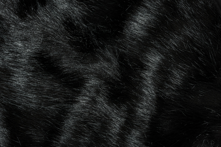 Highly detailed background texture of black fur made of synthetic animal long hair.の写真素材