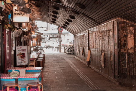 Underpass Yurakucho Concourse under the railway line of the station Yurakucho. Japanese noodle stalls and sake bars revive the nostalgic years of Showa air with old posters and placards glued to the walls of the tunnel.のeditorial素材