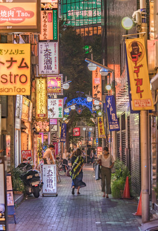 TOKYO, JAPAN - August 21 2018: Illuminated signs lighting the narrow little alley of the Sunshine Central Street connecting the east exit of Ikebukuro station on Yamanote line with bistro, sake bars, curry and grilled meat restaurants, shops, game center のeditorial素材