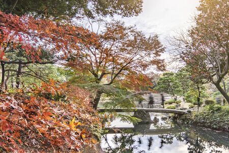 Japanese stone bridge and autumn red maple on the pond of Rikugien Park in Bunkyo district, north of Tokyo.の写真素材