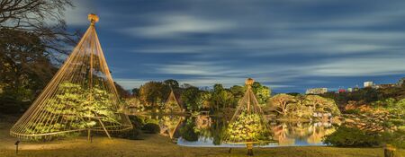 Panorama of autumn night light-up of the Tokyo Metropolitan Park of Rikugien with pine trees protected by a winter umbrella .の写真素材