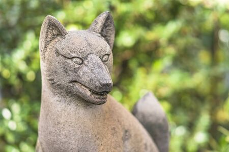 Statue of foxes inari, deity of rice in the Shinto shrine of Mejiro Toyosaka Inari Jinja in Tokyo.の写真素材