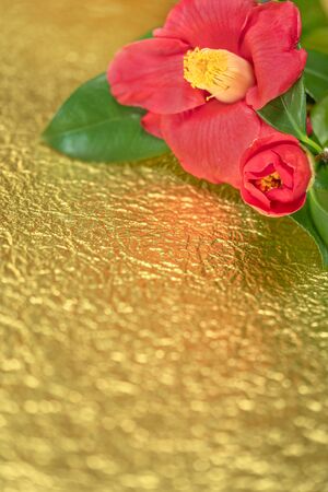 A Japanese greeting card with a Tsubaki flower also called the winter rose on a golden crumpled paper background.の写真素材