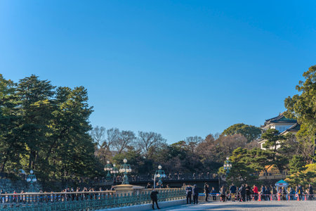 People holding Japanese flags on their way to the appearance on the occasion of the New Year of Their Majesties the Emperor and Empress of Japan in the Imperial Palace in Tokyo.のeditorial素材