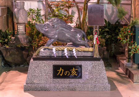 tokyo, japan - january 02 2020: Stone statue of the boar zodiac animal on which stands the Buddhist deity Marici and which symbolizes strength and victory in the Tokudaiji temple of Tokyo at night.のeditorial素材