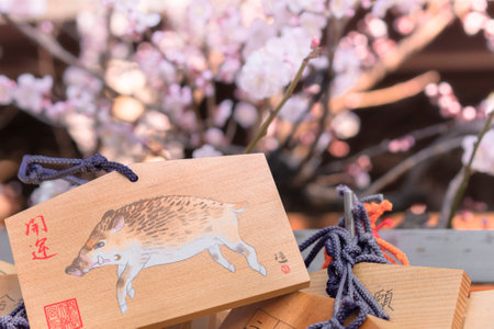tokyo, japan - march 02 2020: Heap of shinto wooden Ema plaques under the plum trees in bloom in the Yushima Tenmangu Shrine of Tokyo dedicated to Sugawara no Michizane the deity of studies.のeditorial素材