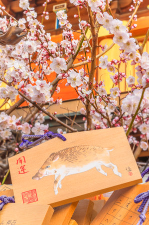 tokyo, japan - march 02 2020: Heap of shinto wooden Ema plaques under the plum trees in bloom in the Yushima Tenmangu Shrine of Tokyo dedicated to Sugawara no Michizane the deity of studies.のeditorial素材