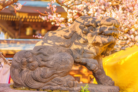 tokyo, japan - march 02 2020: Lion shishimai komainu mythological guardian of Japanese temples and shrines against a pink flowering plum trees background.のeditorial素材